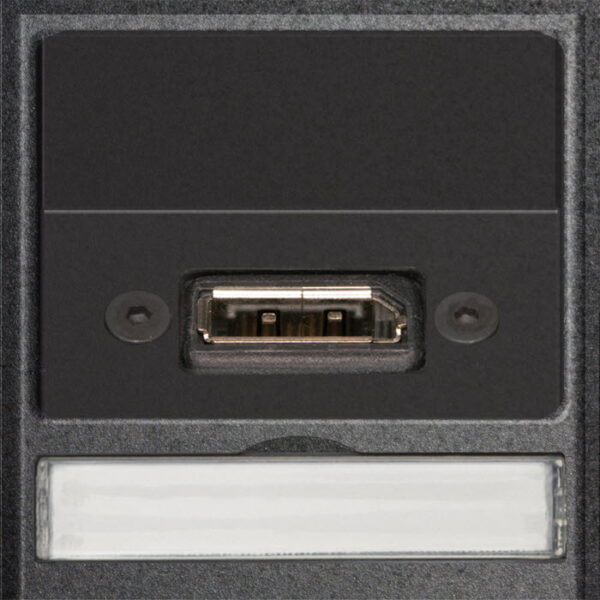 EVOline 1x DisplayPort 1.2 module cable 0.4m / replacement part-0