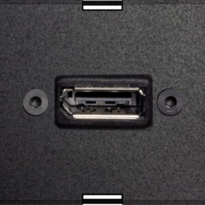 Exchangeable module DisplayPort full - EVOlineStore