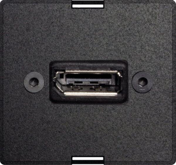 Exchangeable module DisplayPort full - EVOlineStore