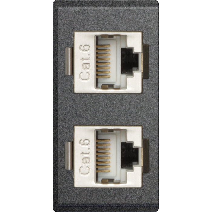 Featured image for “EVOline 2 x RJ45 modular CAT6 module / replacement part 25x50mm”