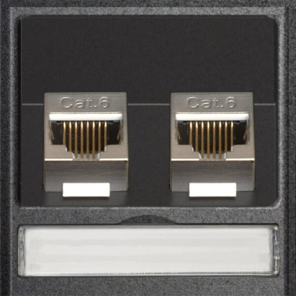 EVOline 2 x RJ45 modular CAT6 module / replacement part-0