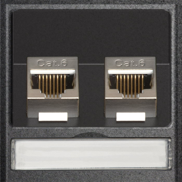 Featured image for “EVOline 2 x RJ45 modular CAT6 module / replacement part”