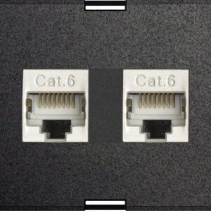 Exchangeable module 2x RJ45 modular CAT6 full