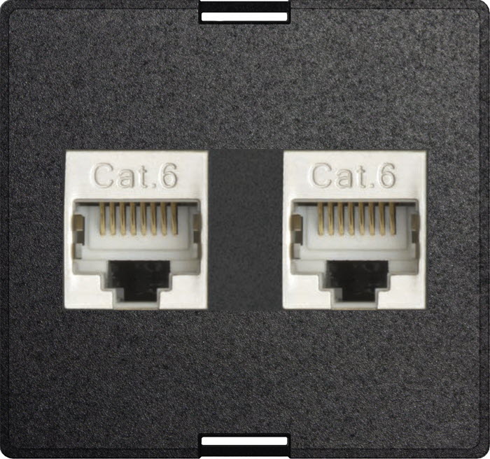 Featured image for “EVOline 2x RJ45/CAT6/shielded exchangeable module”